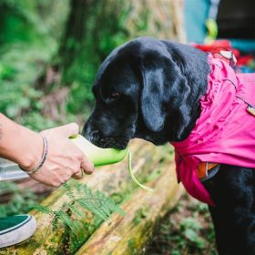 Dog Coats Small Waterproof,Warm Outfit Clothes Dog Jackets Small,Adjustable Drawstring Warm And Cozy Dog Sport Vest-(pink, size 2XL)