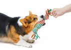 Dog Rope Toy