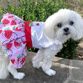 Strawberry Picnic  Harness Dress with Matching Leash (size: X-Small)